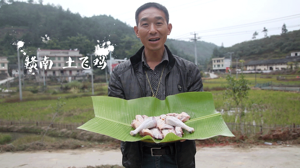 UG全球·(中国区)官方网站