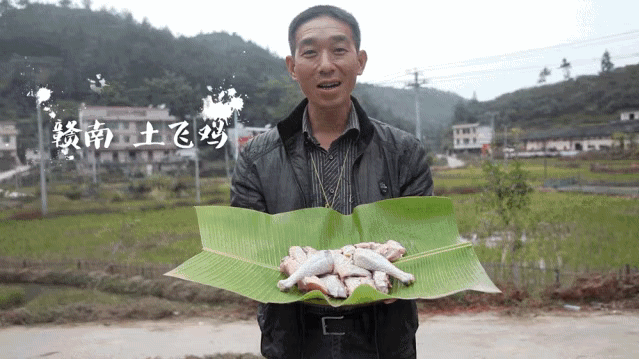 UG全球·(中国区)官方网站